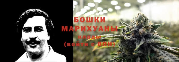 apvp Карпинск