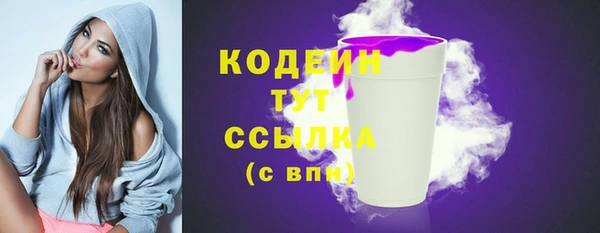 apvp Карпинск