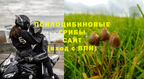 прущие крисы Каменногорск