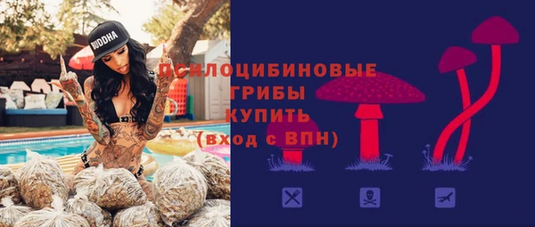ALPHA-PVP Карталы